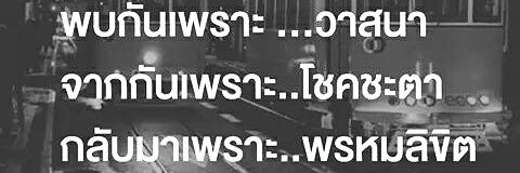 Teerak's Mom👌🐣🐵🍀🇹🇭 banner