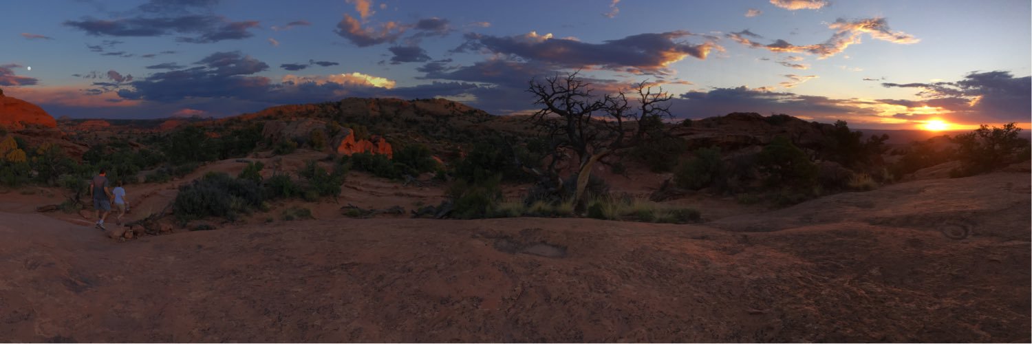 Kali_Basso2's profile banner image