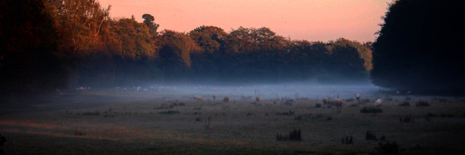 George Sargent banner