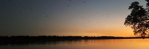 TanjaStraka Profile Banner