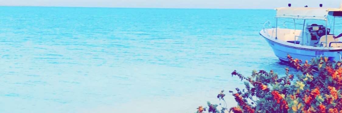 alwkad1's profile banner image