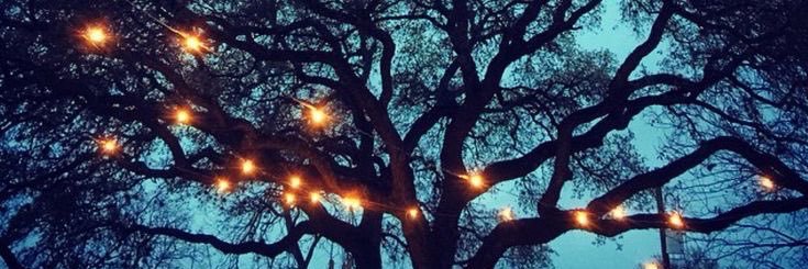 elisecallen13's profile banner image