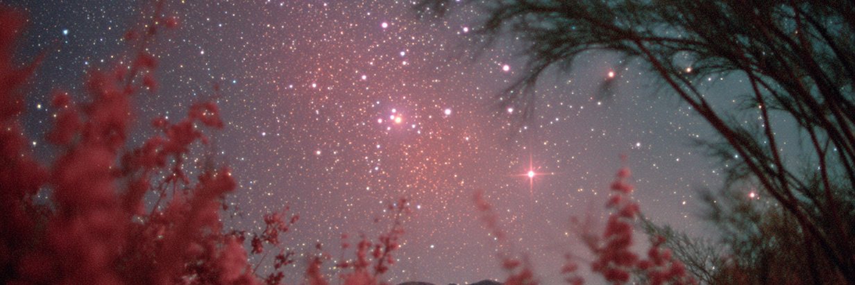 Code Sommelier banner