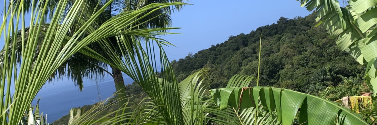 EDITH M🅰️CE banner