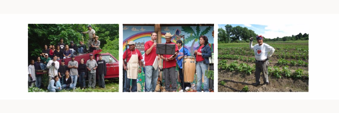 DAISA Enterprises banner