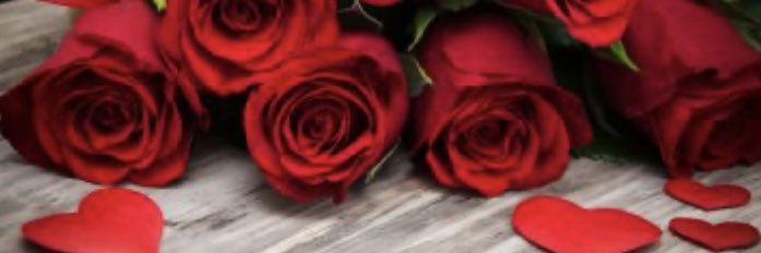 samt5506's profile banner image