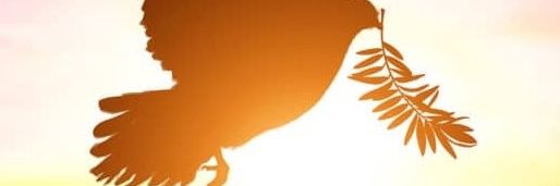 Hamzaf_16's profile banner image
