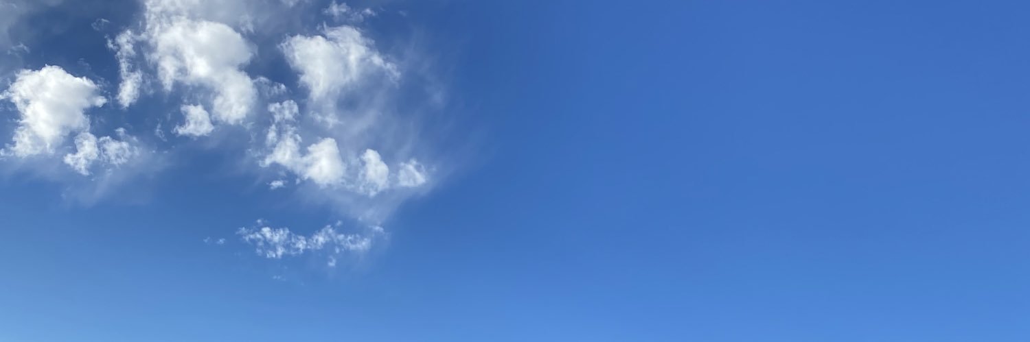 Merle Dandridge's banner