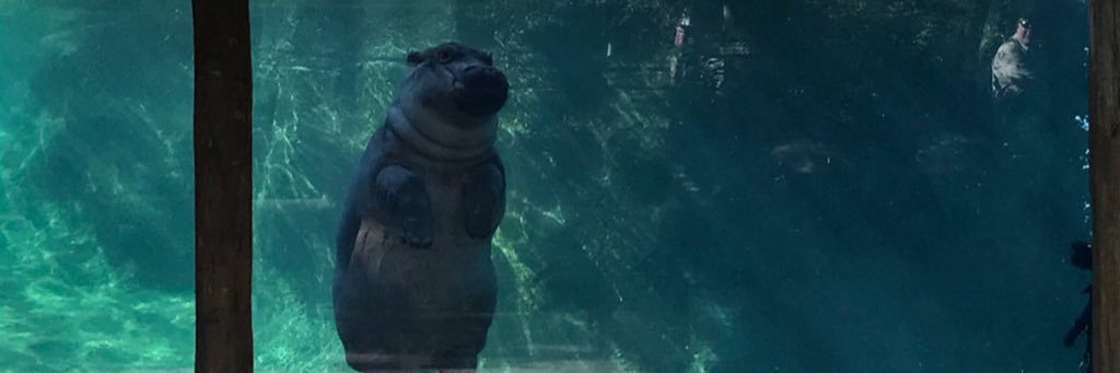 samwaagenes's profile banner image
