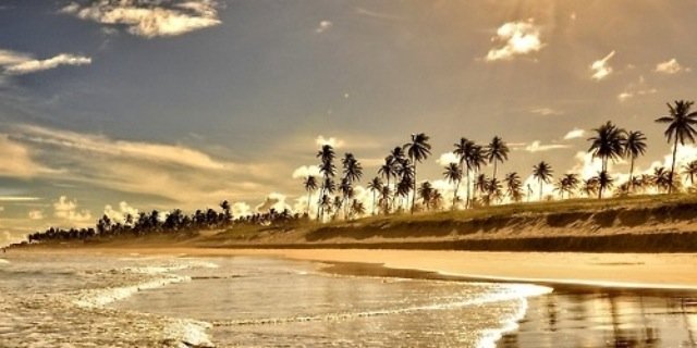 _shanelrose's profile banner image