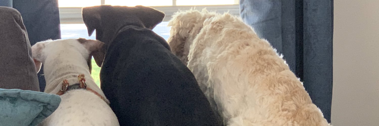 Jonathan Lowe banner