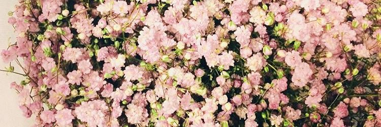 cikmeina's profile banner image