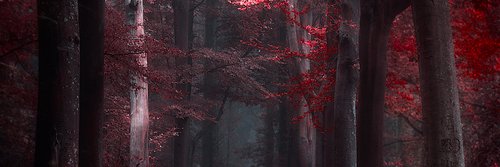 RubitineDusk's profile banner image