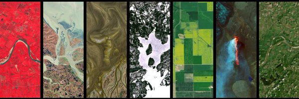 birdmapper Profile Banner
