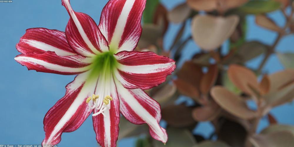GillRowbotham's profile banner image