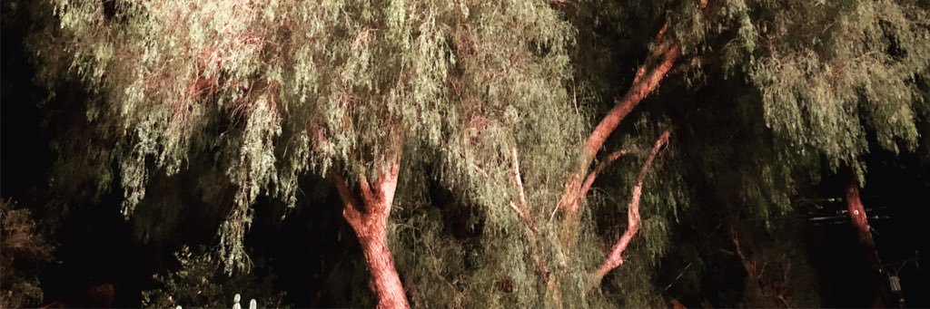 Sharrwhite's profile banner image