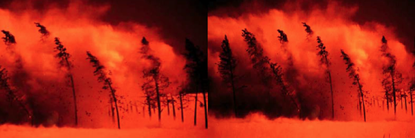 ArtDemocracy Profile Banner