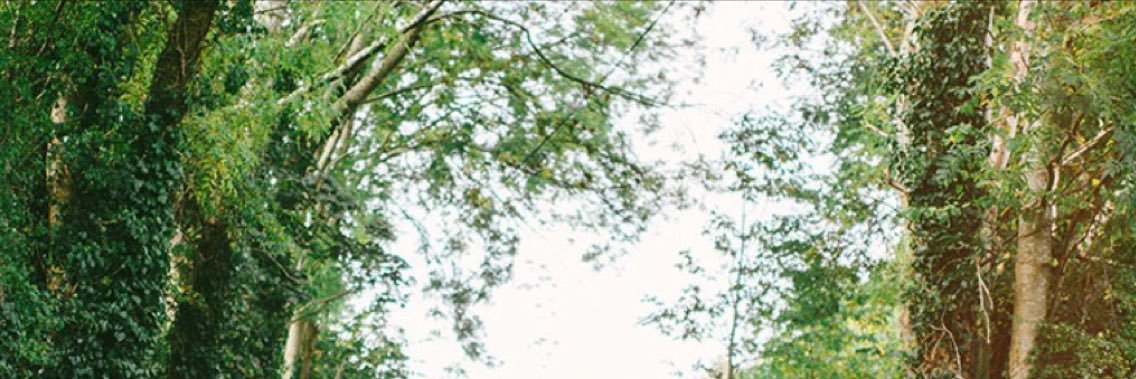 Christine FitzGerald banner