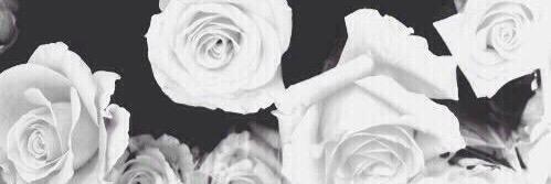 ine_a's profile banner image