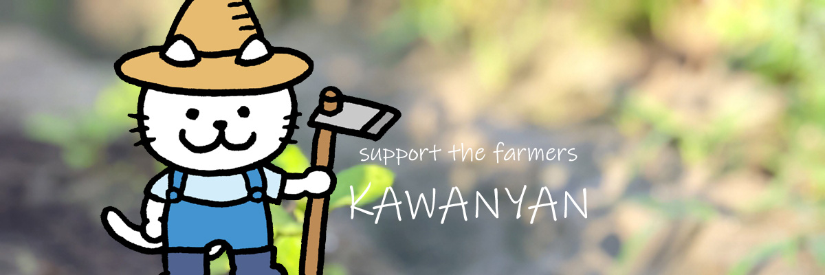 kawanyan_com's profile banner image