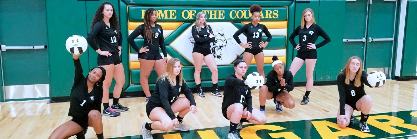 Fcc_Volleyball's profile banner image