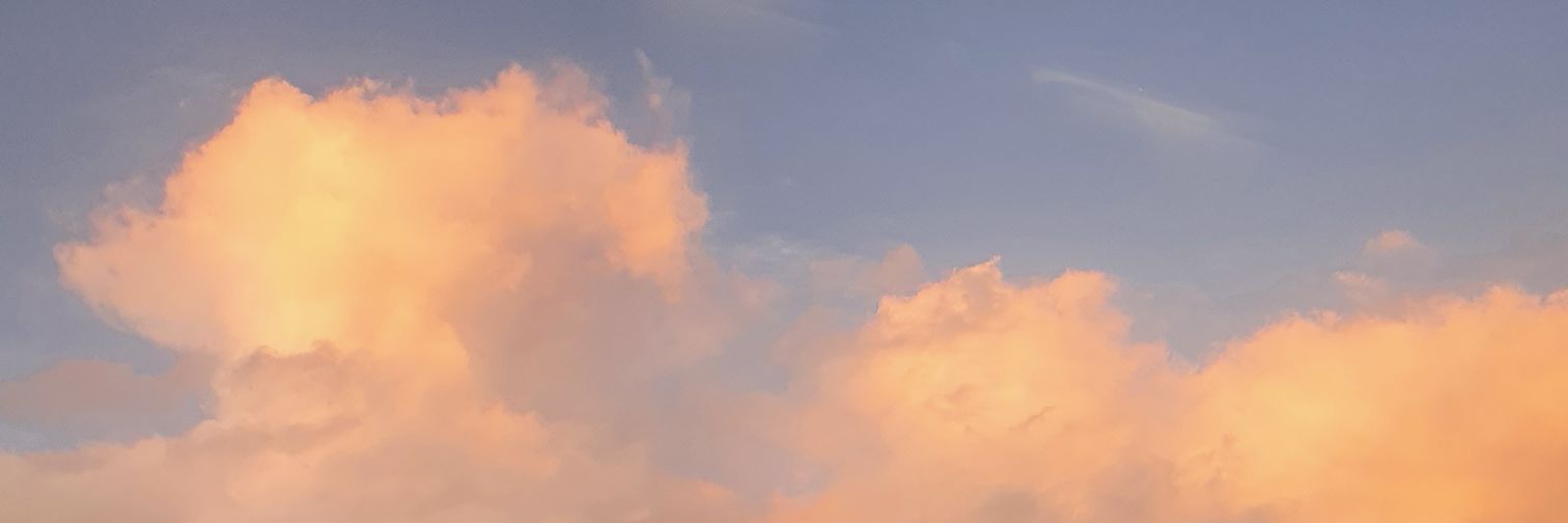pollencore's profile banner image