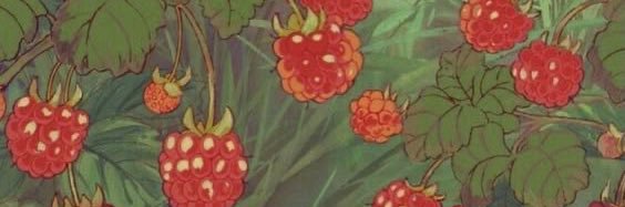 kaycee ‧͙⁺˚*･༓☾ banner