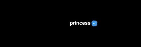 alysmelons's profile banner image