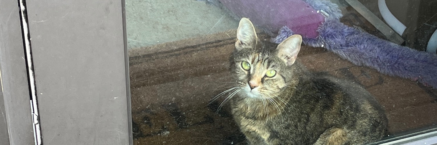 Centrist Reform Alliance Youth Party Chair banner