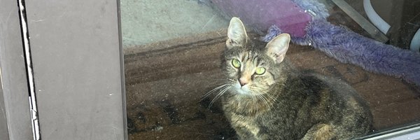 corncobanalysis Profile Banner