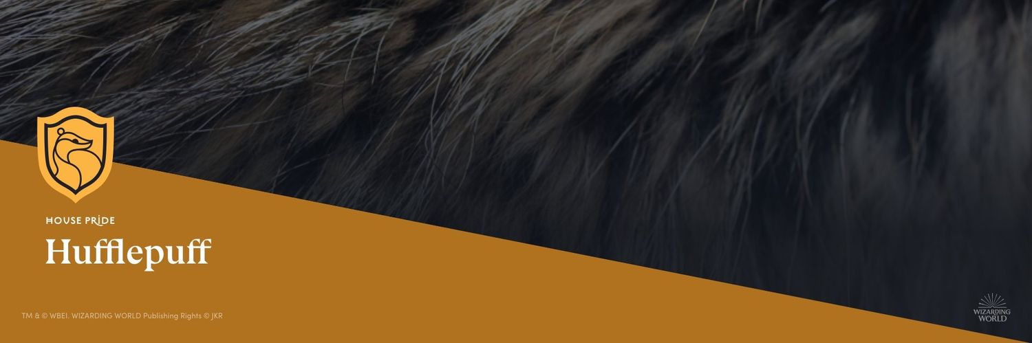 SuperContessa's profile banner image