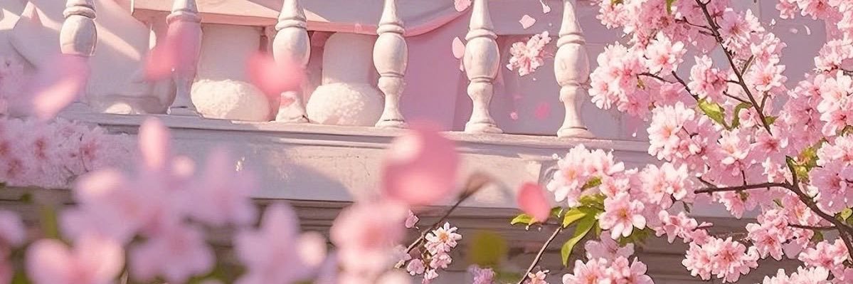 missthidaa's profile banner image