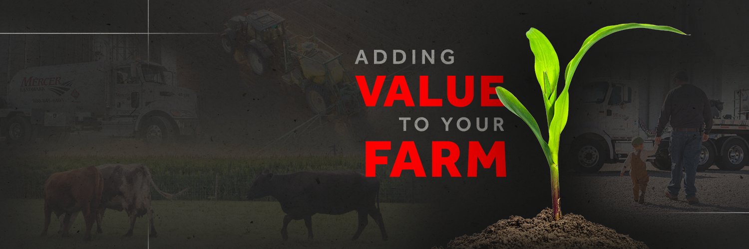 Mercer Landmark banner