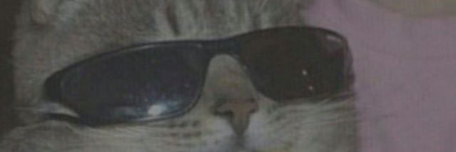 ʙᴀsᴛᴀʀᴅx banner