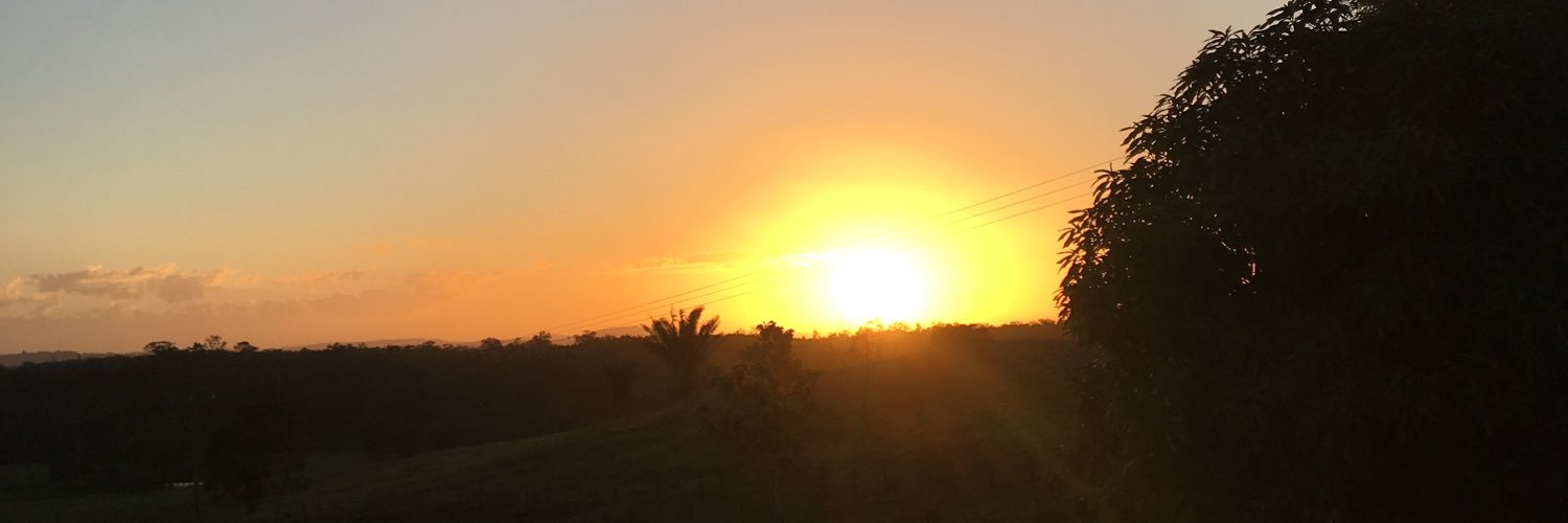 thelmacmontero's profile banner image