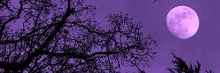 0xPresh banner