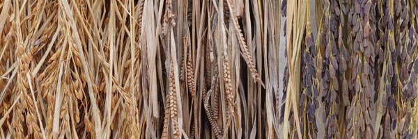 jigneshmistry98 Profile Banner