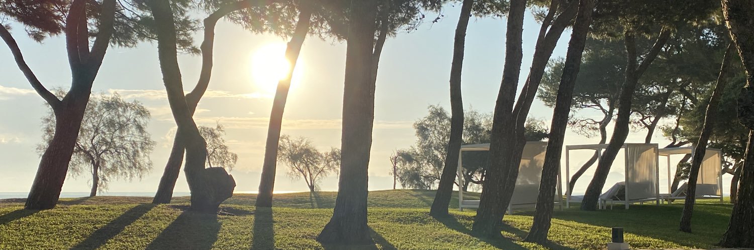 Benedikt Lüchinger banner