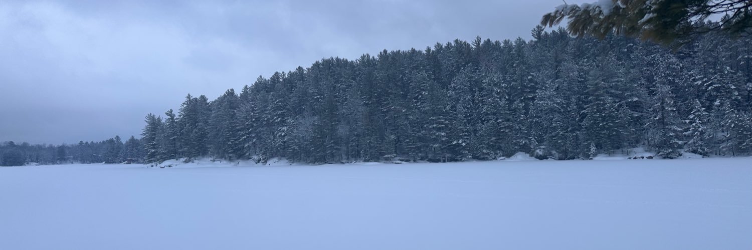 fuzulam's profile banner image