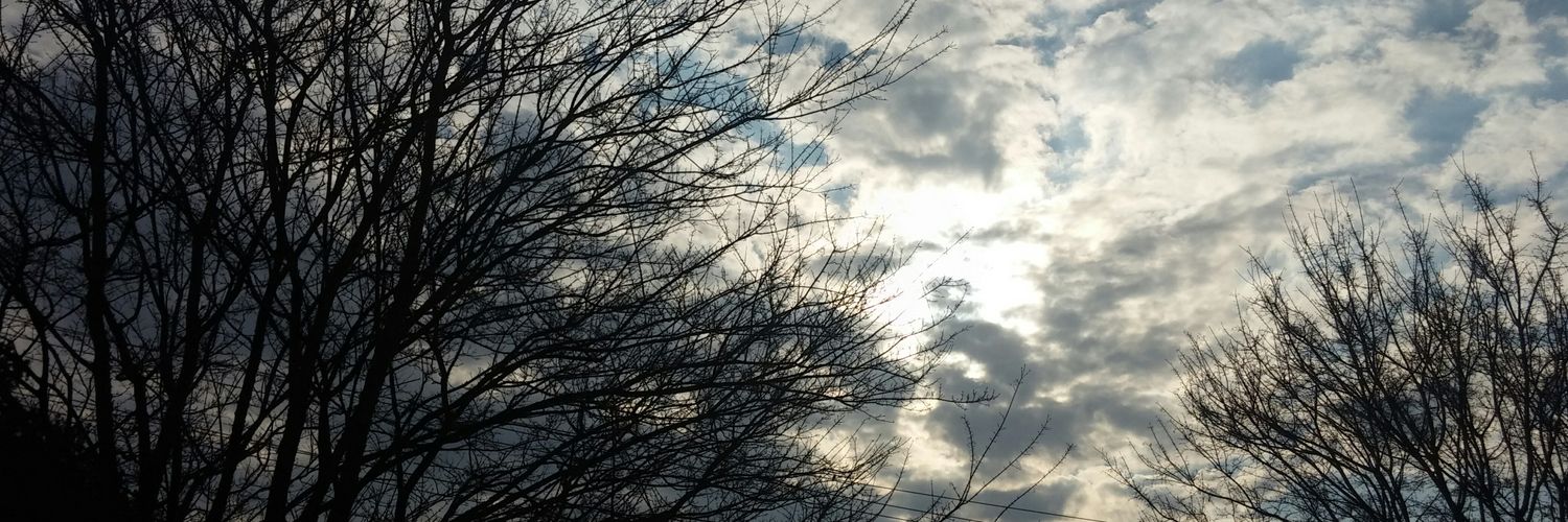 KathyTi53103571's profile banner image