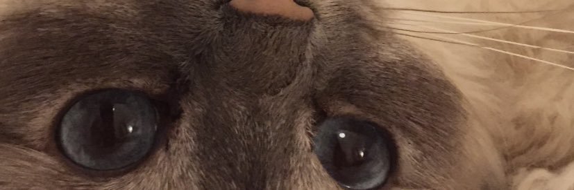 gewington8's profile banner image