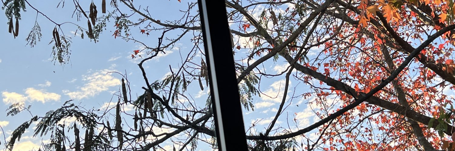 tinuvenditto's profile banner image