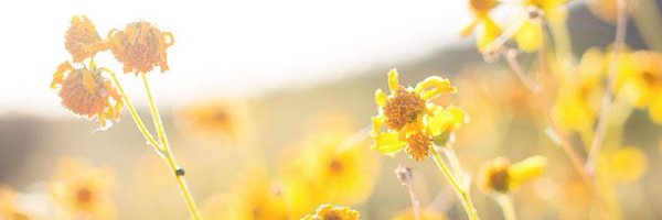 elgmarshall Profile Banner