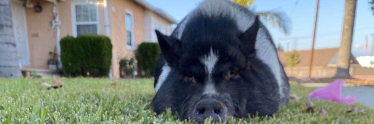 BigRickyyy24's profile banner image