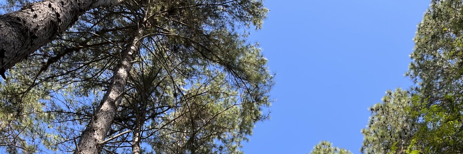 dannirs_'s profile banner image