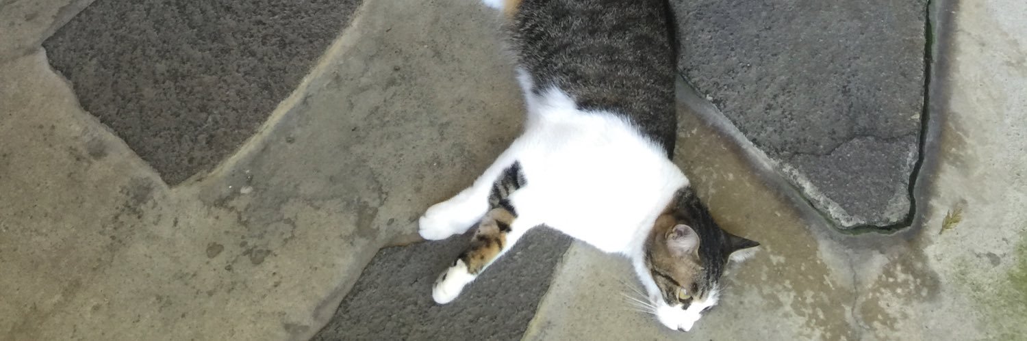 anonykatze's profile banner image