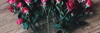 brstaij_S's profile banner image