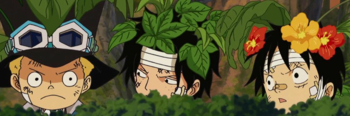 mdmacavity's profile banner image