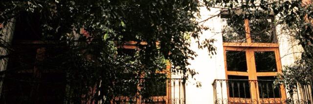Neoliveralove banner