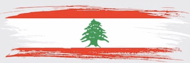 sophiabitar's profile banner image